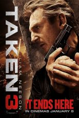 دانلود دوبله فارسی فیلم Taken 3 2014