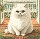 آواتار کاربر Mo Abc