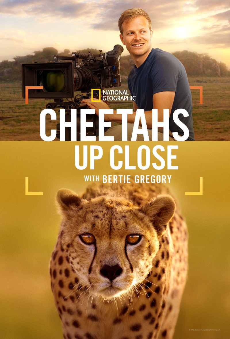 دانلود فیلم Cheetahs Up Close with Bertie Gregory 2026 دانلود فیلم Cheetahs Up Close with Bertie Gregory 2026