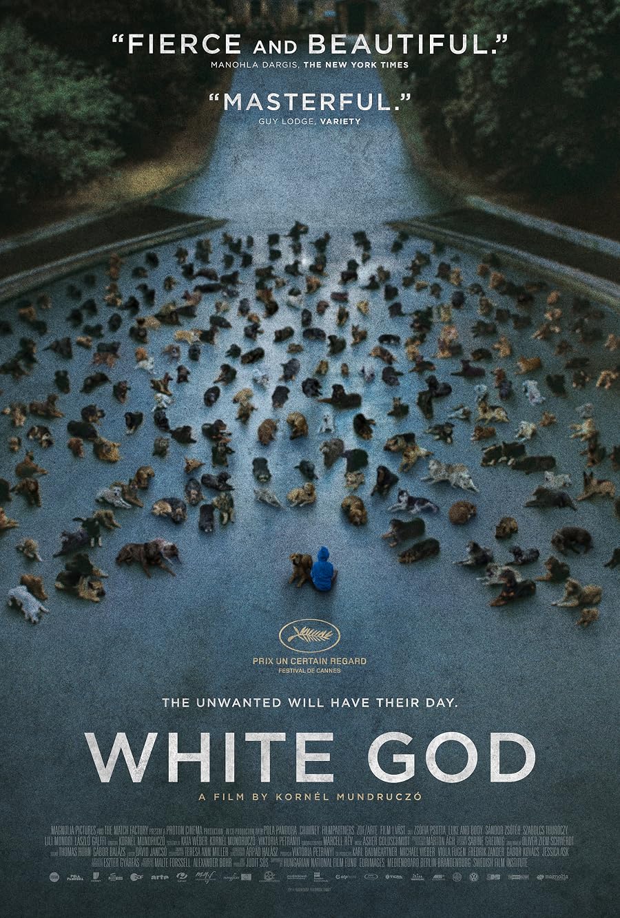 دانلود فیلم White God 2014 دانلود فیلم White God 2014