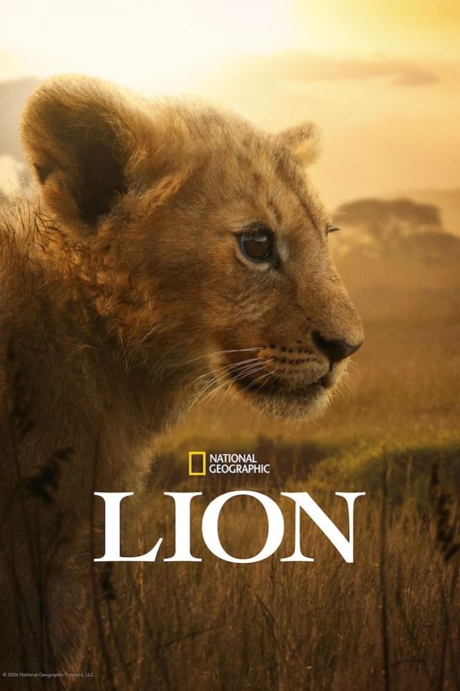 دانلود مینی سریال Lion 2026 دانلود مینی سریال Lion 2026