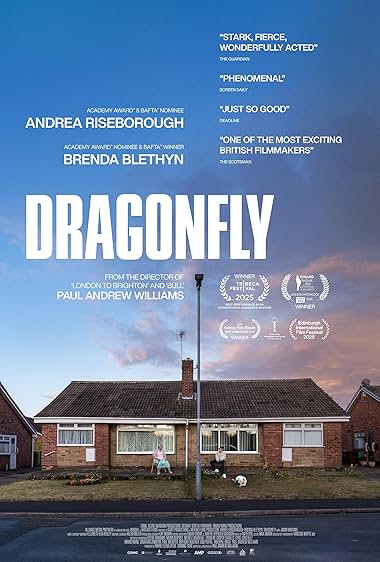 دانلود فیلم Dragonfly 2025